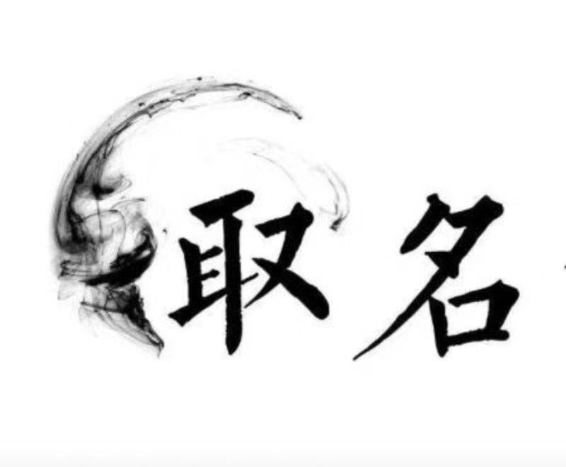  无为宝宝取名 大师一对一人工起名